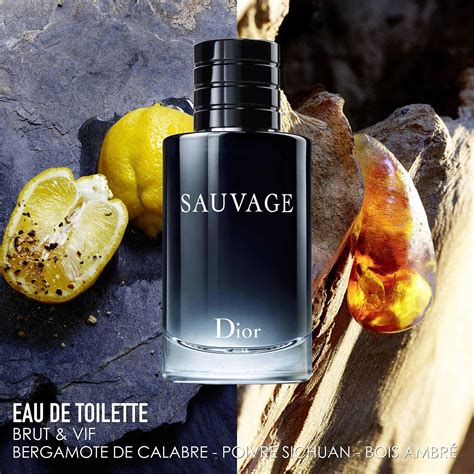 notas sauvage dior|sauvage Dior description.